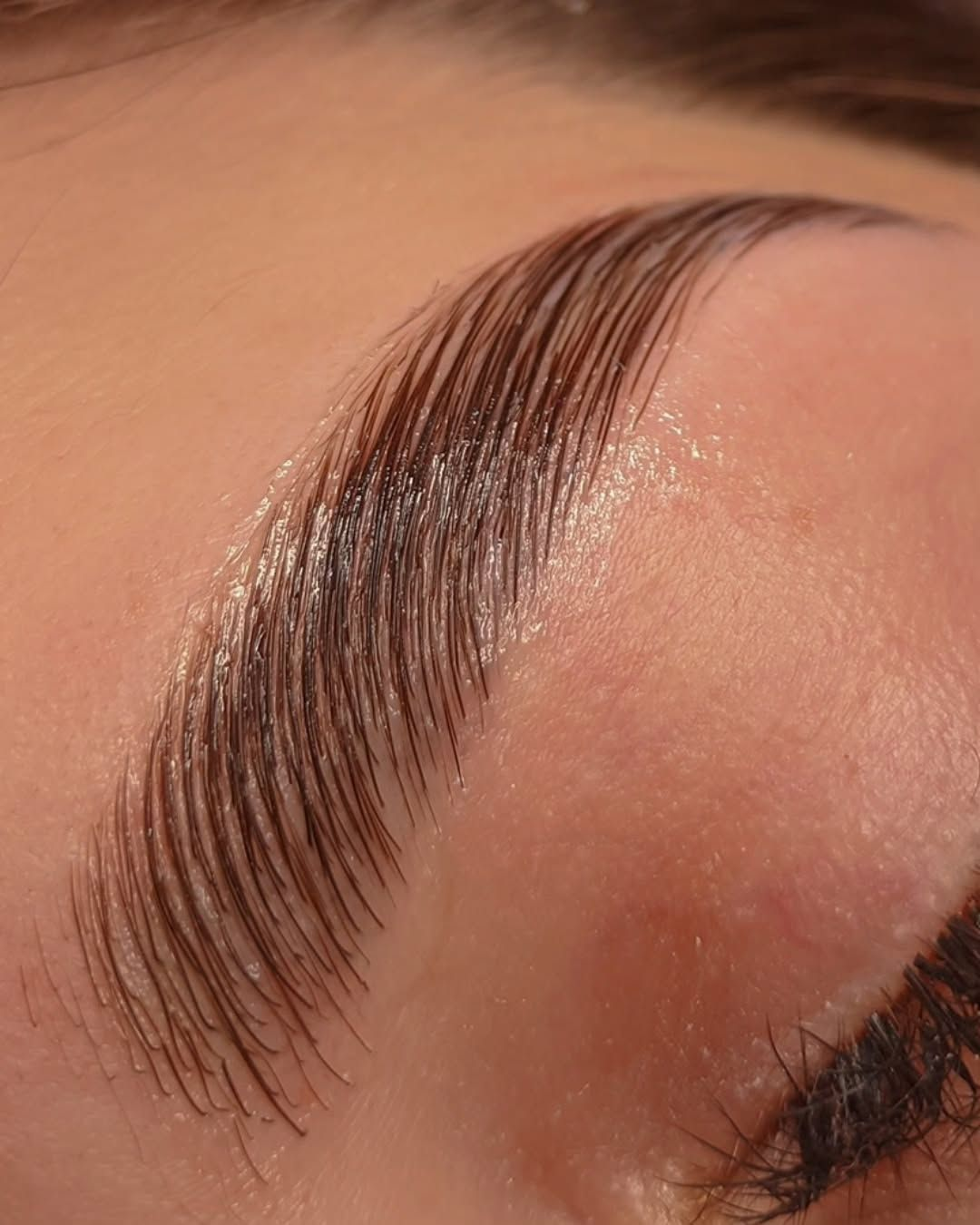 Brow lamination close-up — sculpted, brushed-up brows