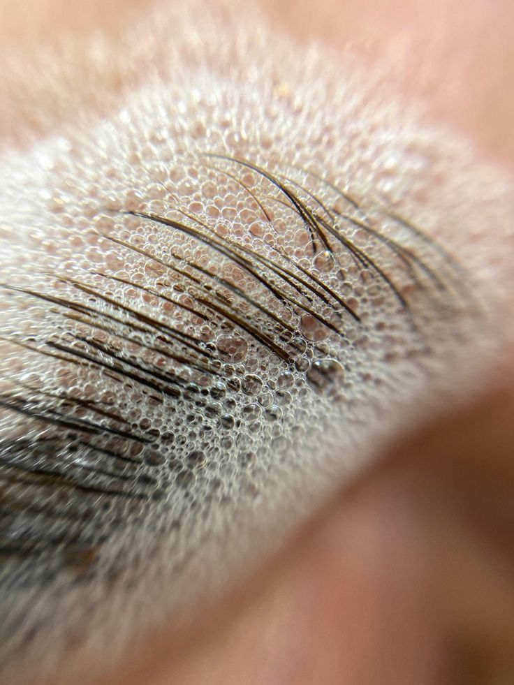 Macro detail of brow grooming with cleansing foam